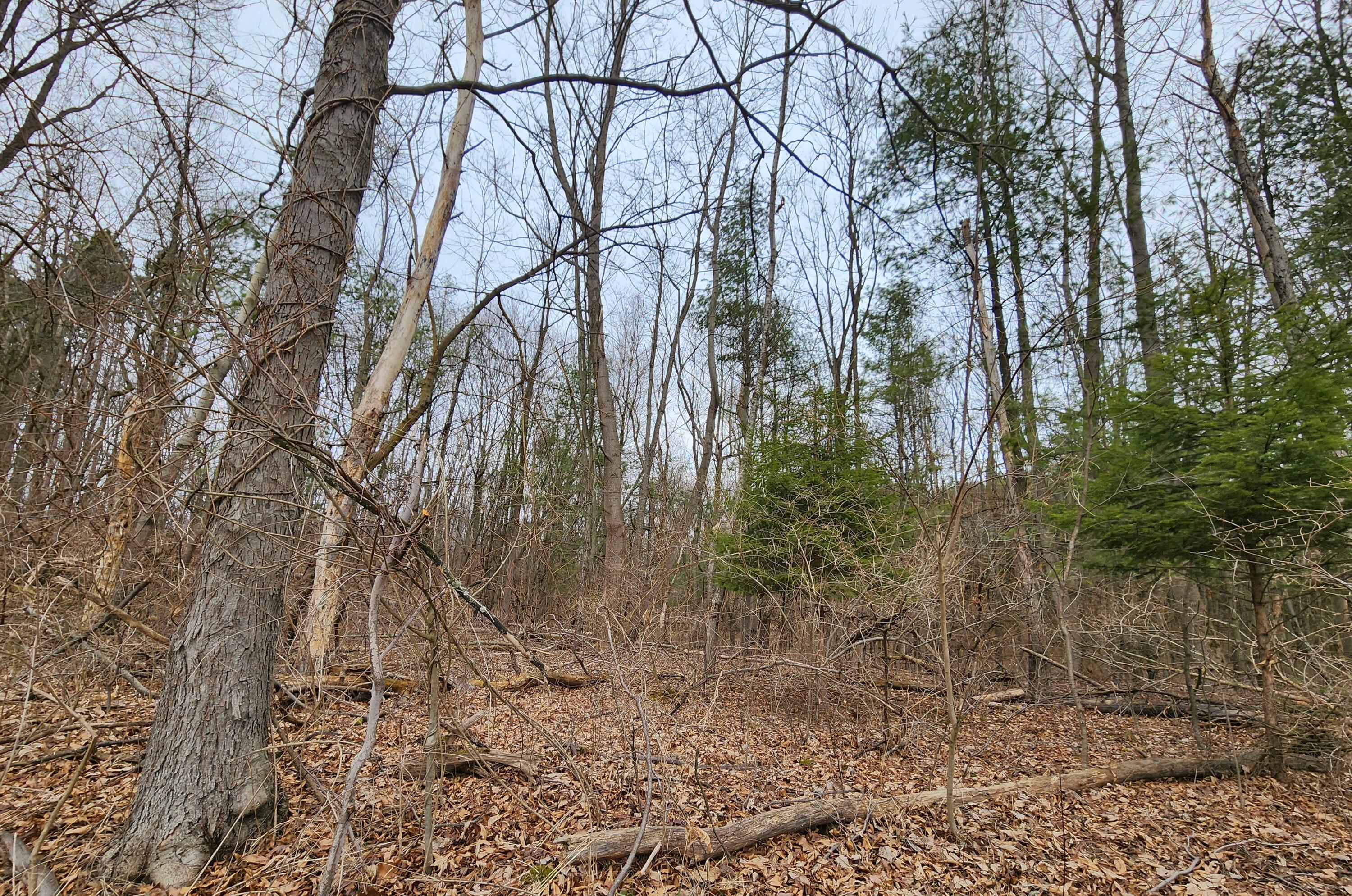 Lot C Hoffman Road Three Rivers, MI 49093 - Photo 1 of 10 Hoffman lot c 3