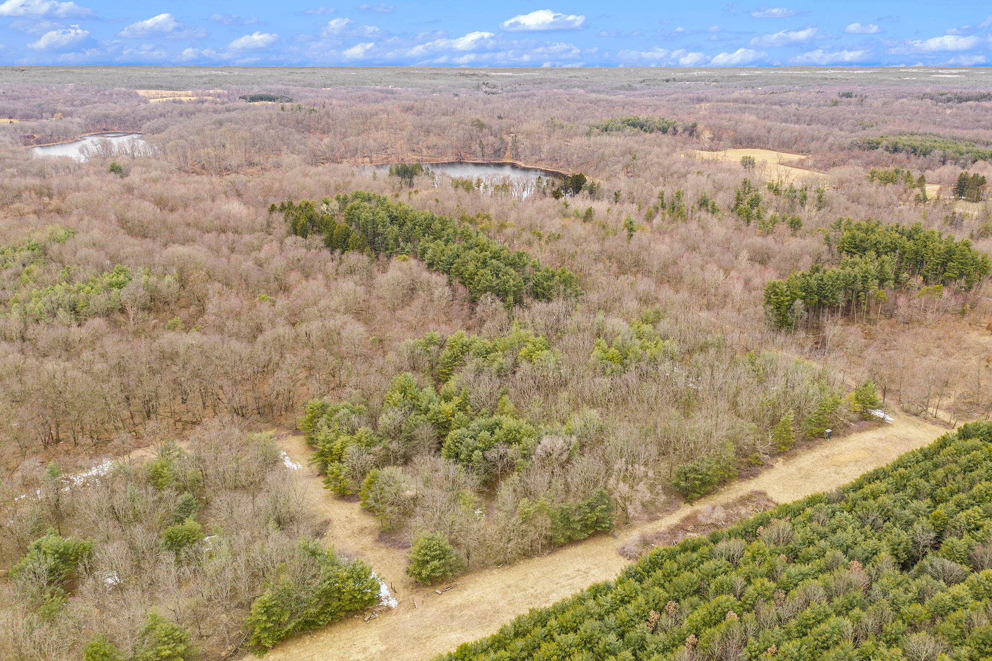Lot C Hoffman Road Three Rivers, MI 49093 - Photo 8 of 10 DJI_0715
