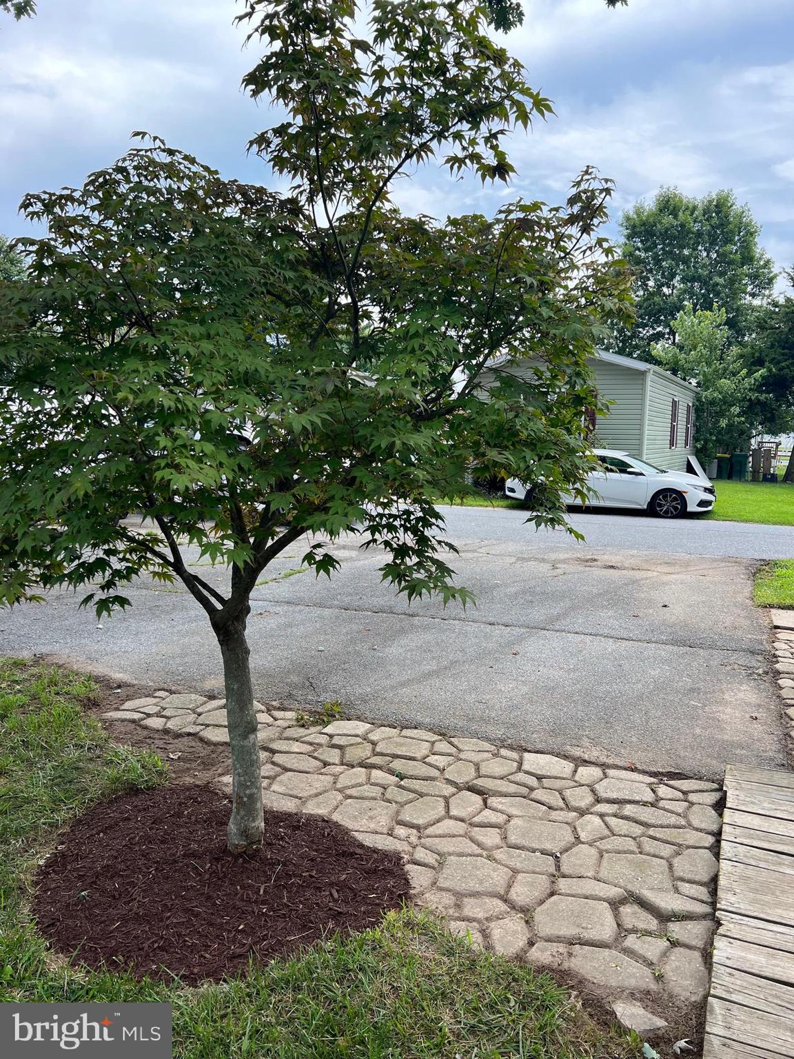 Landscaping