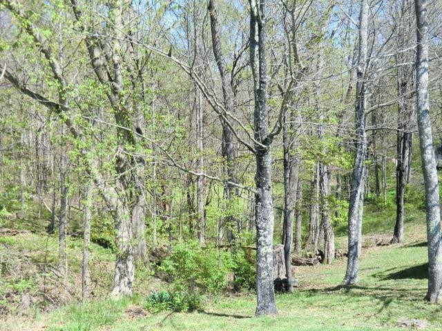 113 Oak Street Butler, KY 41006 - Photo 24 of 27 Gallery Image 24