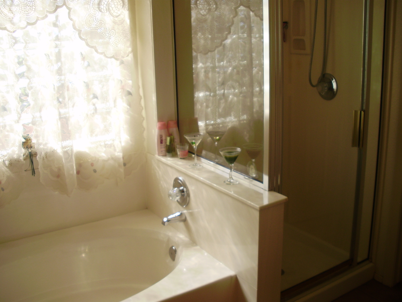 4717 East Swilling Road Phoenix, AZ 85050 - Photo 14 of 19 Master Bath