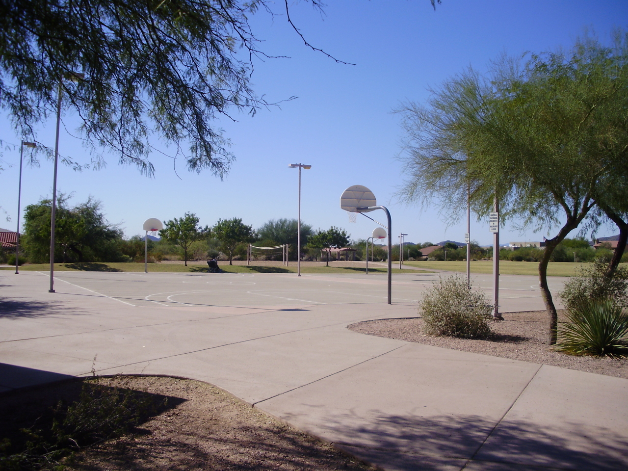 4717 East Swilling Road Phoenix, AZ 85050 - Photo 17 of 19 Community Basketball Courts