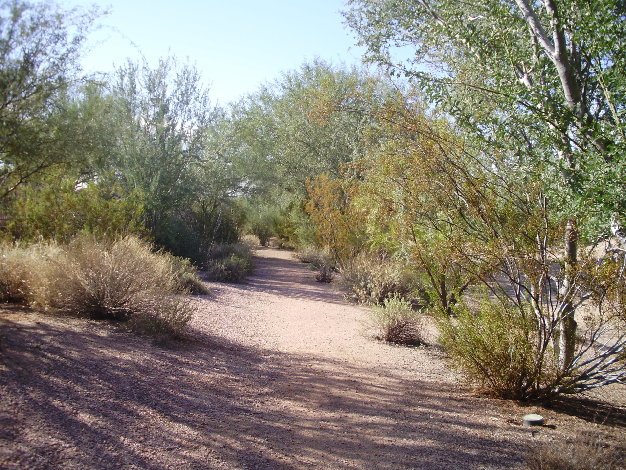 4717 East Swilling Road Phoenix, AZ 85050 - Photo 19 of 19 Walking Path