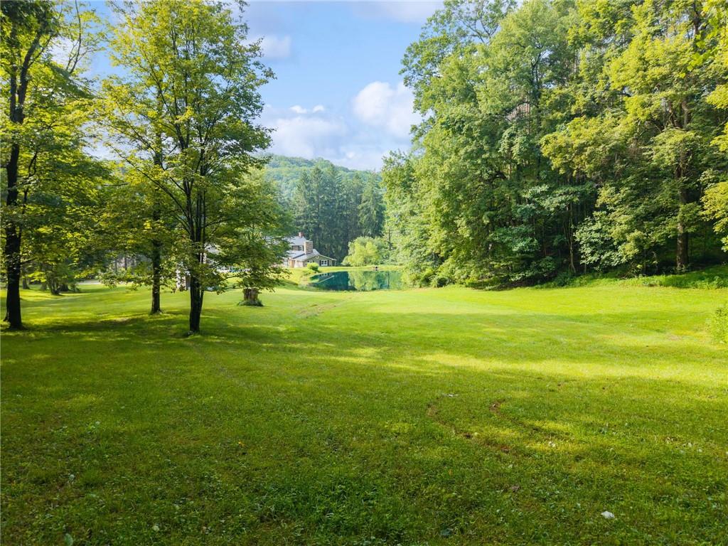 513 Austraw Road Ligonier, PA 15658 - Photo 45 of 50 a view of a trees with a big yard