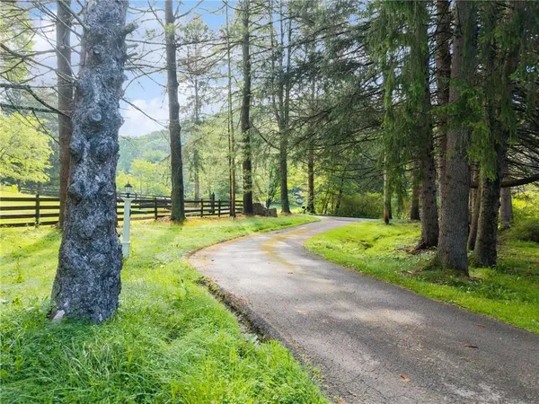 a view of a yard with a tree