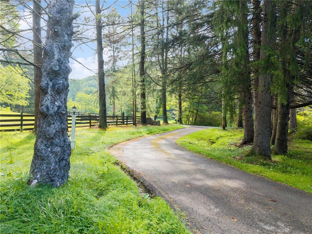 513 Austraw Road Ligonier, PA 15658 - Photo 48 of 50 a view of a yard with a tree