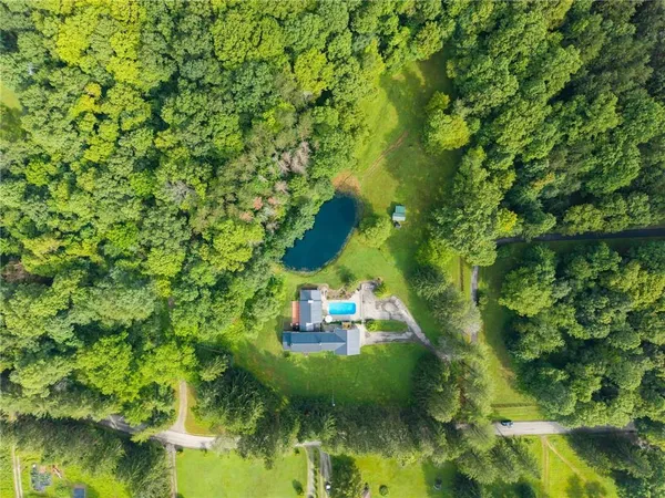 a view of a yard with plants