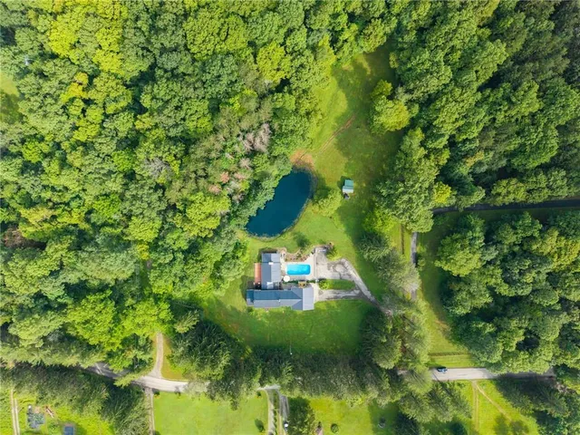 a view of a yard with plants