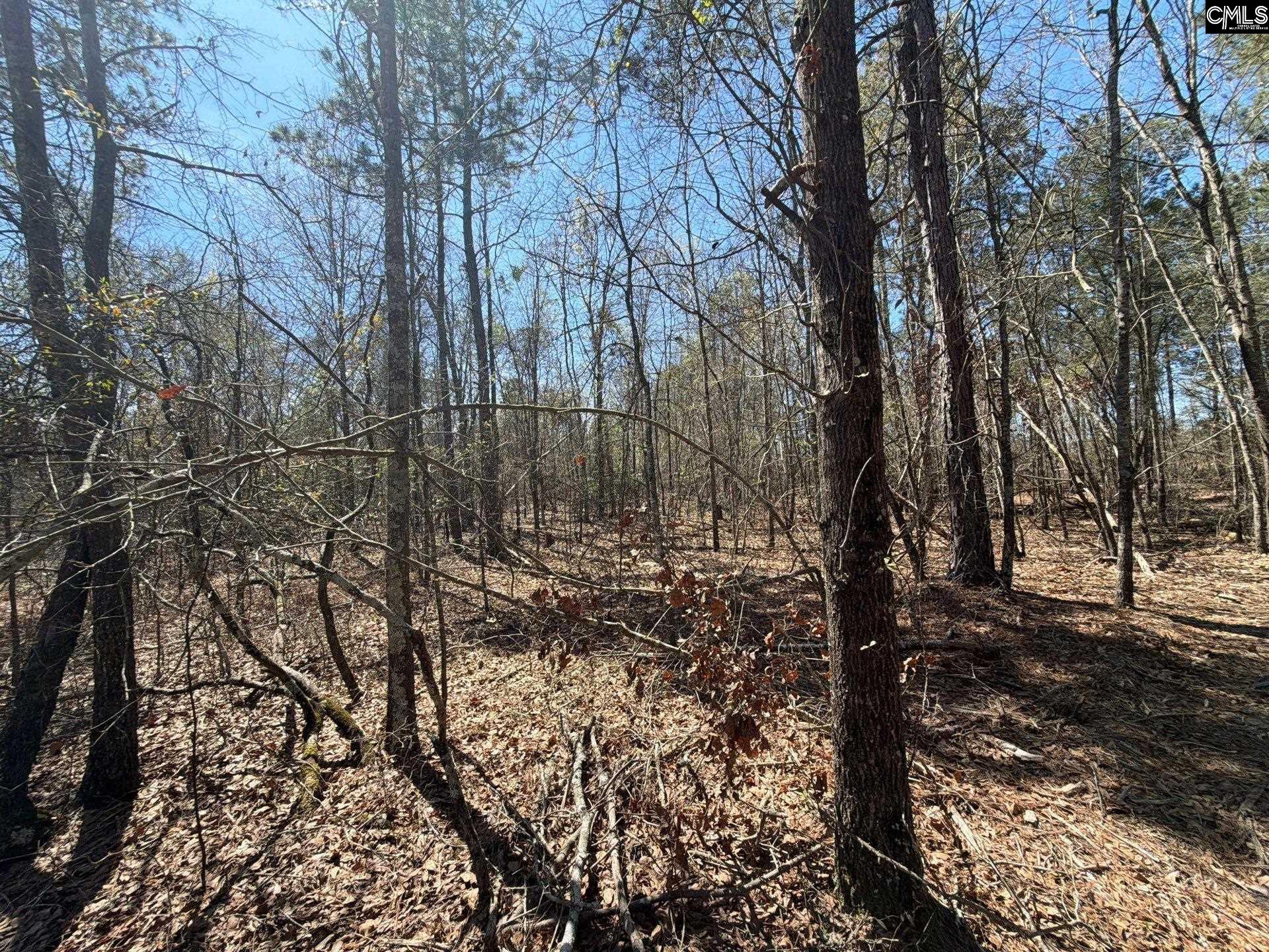 9 Boise Cascade Road, Unit BHL 9 Bethune, SC 29009 - Photo 35 of 44