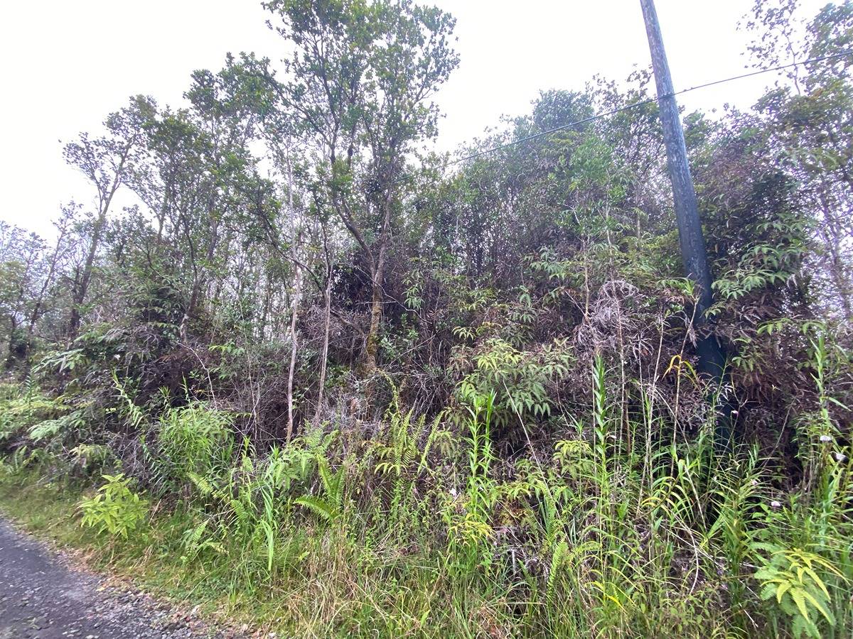 49 Pilo Street Pahoa, HI 96778 - Photo 2 of 5
