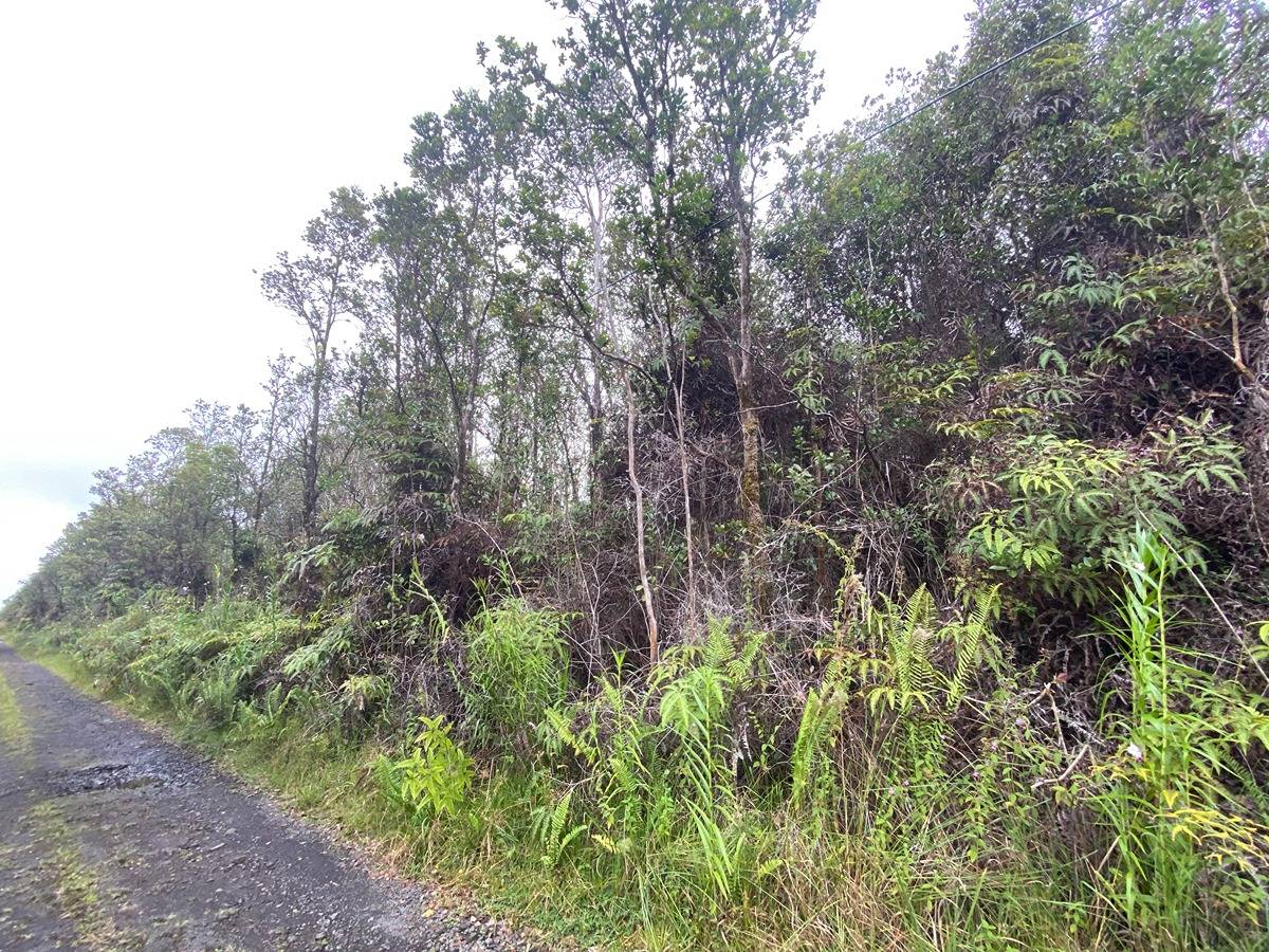 49 Pilo Street Pahoa, HI 96778 - Photo 3 of 5