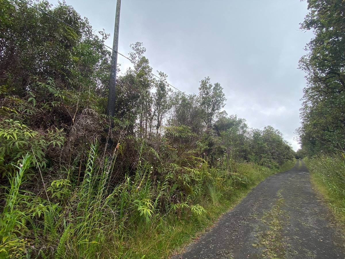49 Pilo Street Pahoa, HI 96778 - Photo 5 of 5