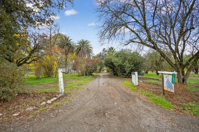 a view of a park with large trees
