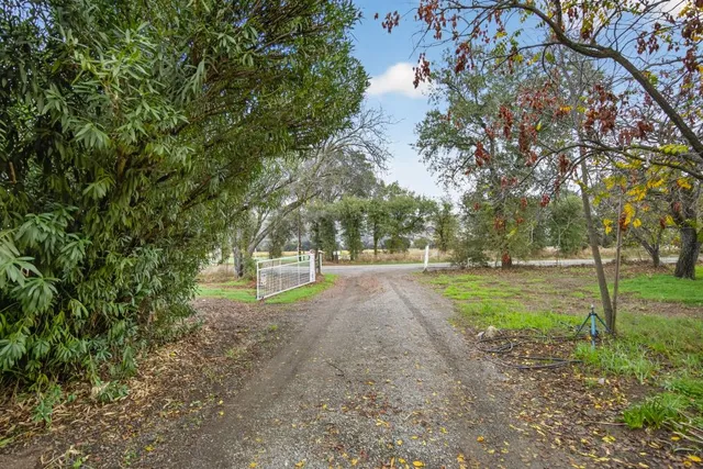 a front view of a house with yard and green space