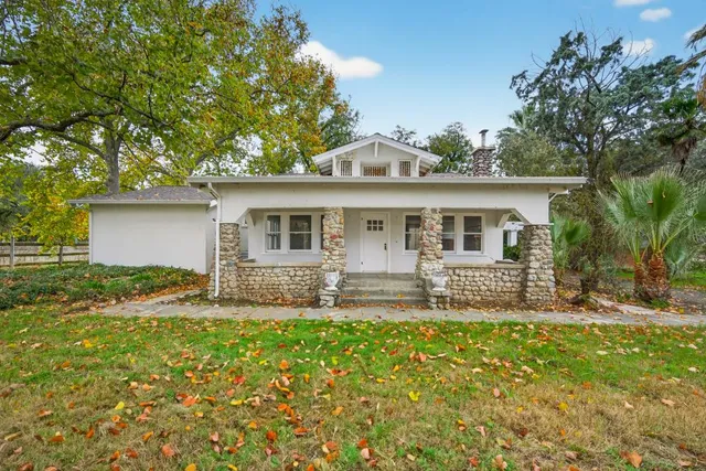 a view of backyard with palm trees