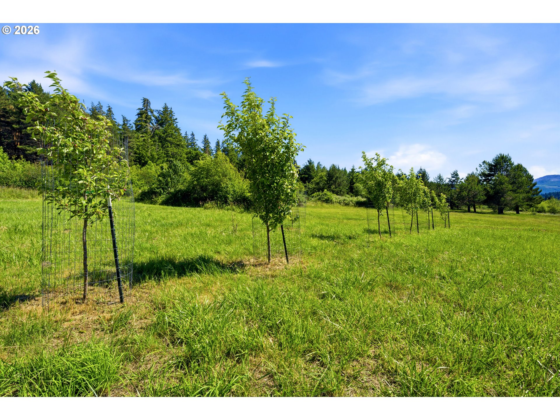47755 Southwest Hebo Road Grand Ronde, OR 97347 - Photo 45 of 48