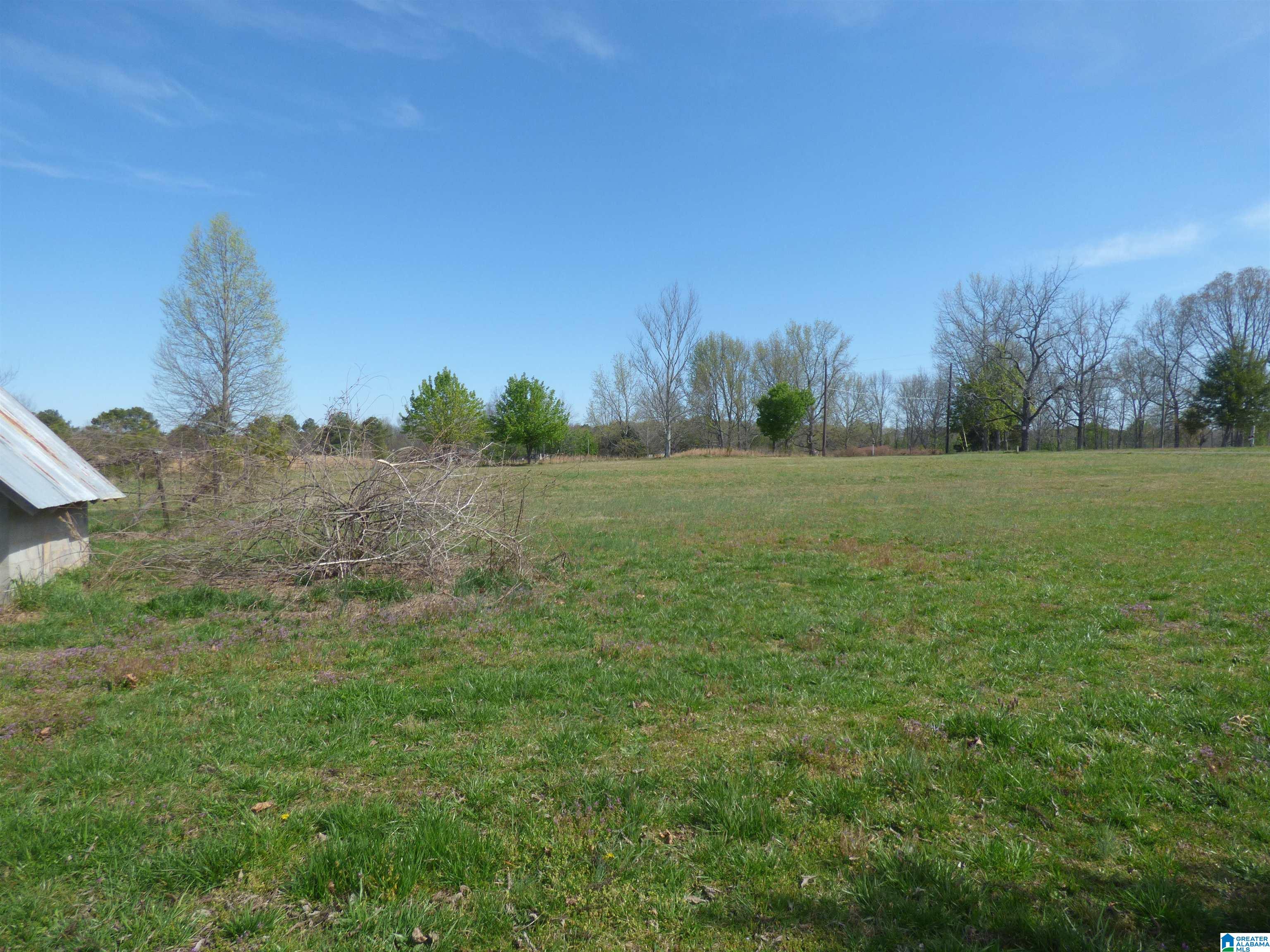 114 Haynes Road Altoona, AL 35952 - Photo 36 of 49