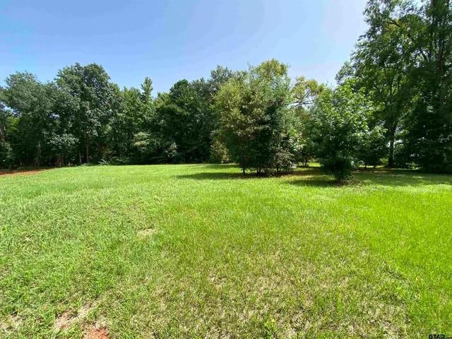a view of a grassy field with trees in the background