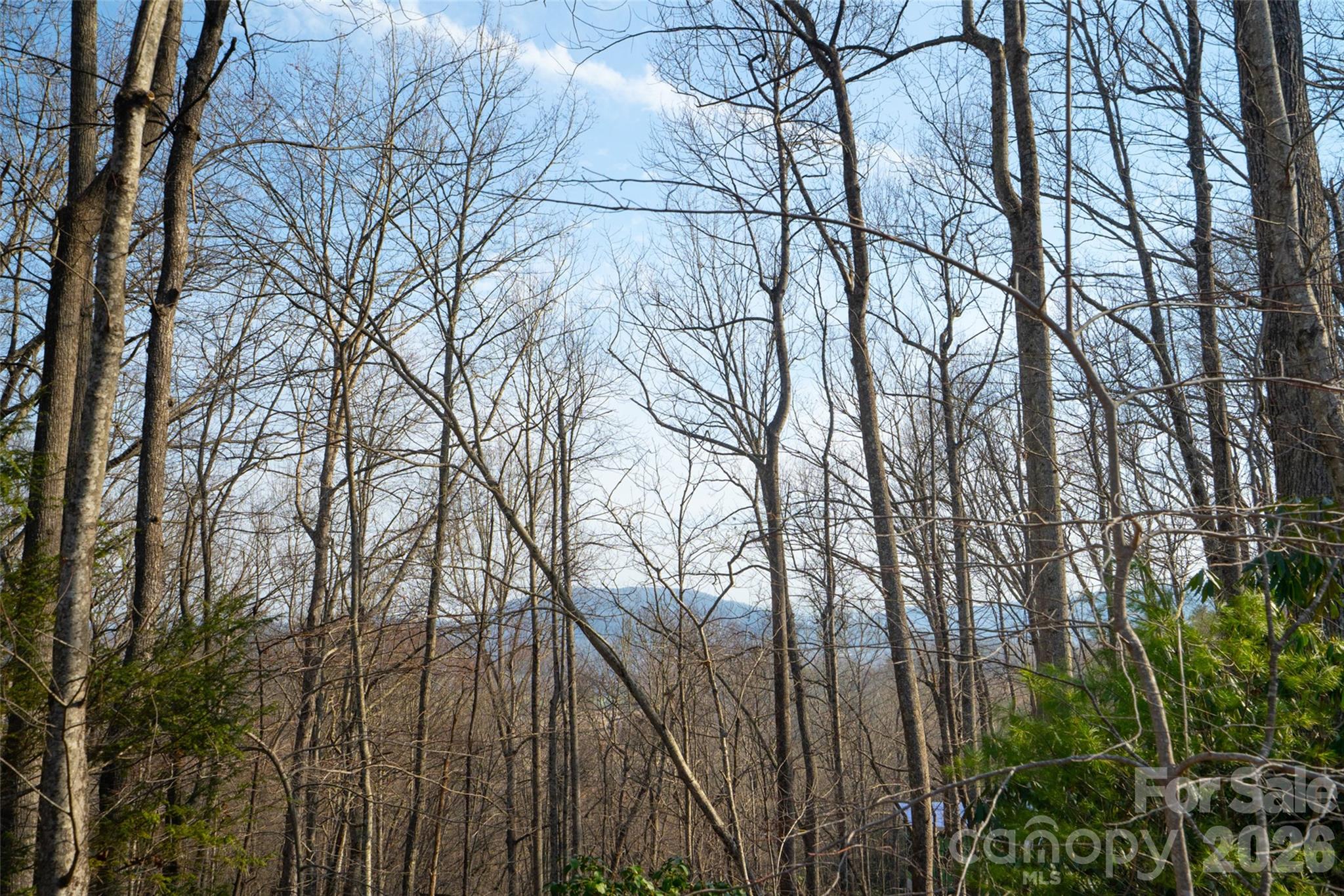 29 Open Ridge Trail Pisgah Forest, NC 28768 - Photo 11 of 16 a backyard of a house with lots of green space