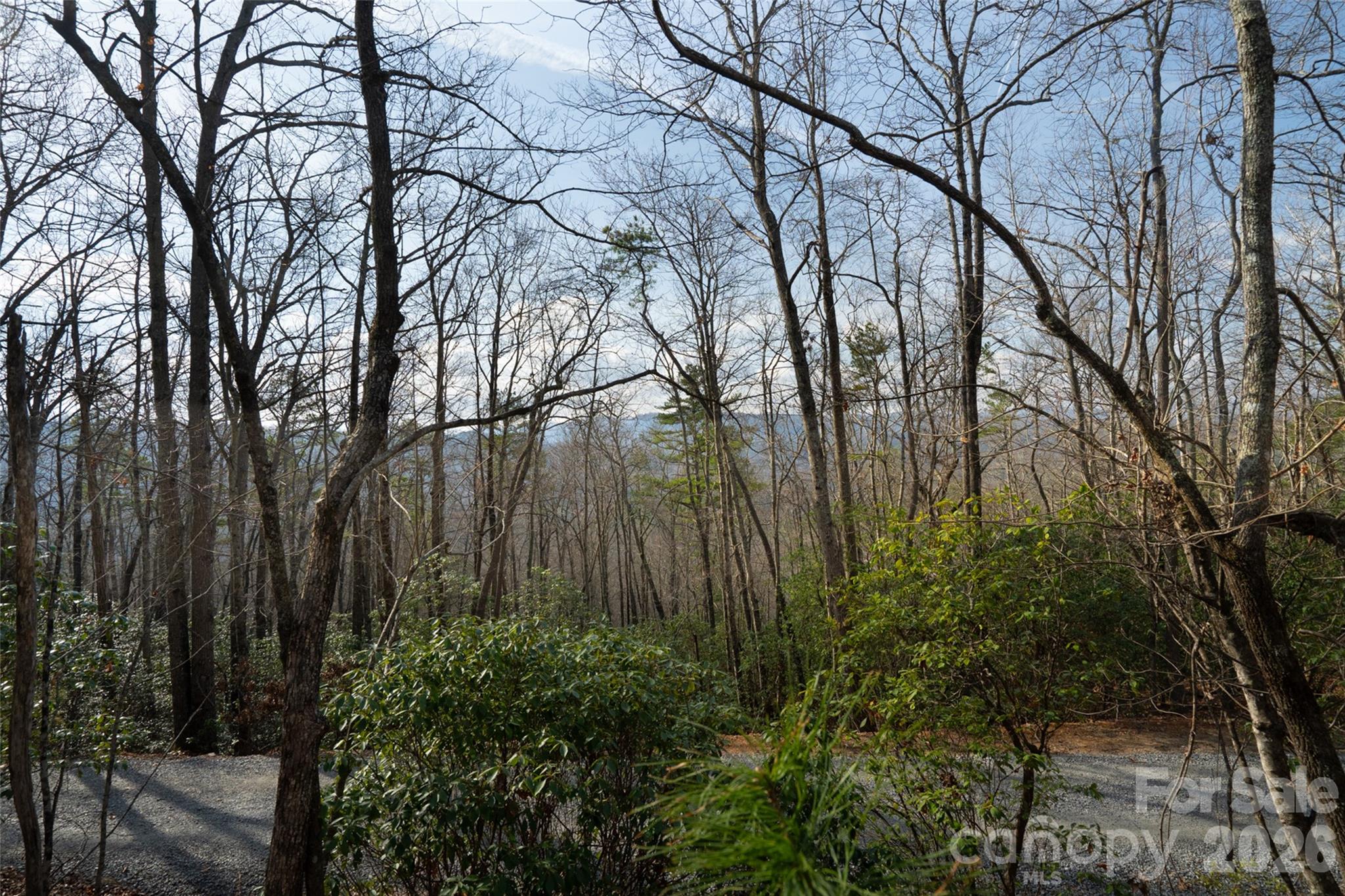 29 Open Ridge Trail Pisgah Forest, NC 28768 - Photo 13 of 16 a backyard of a house with lots of green space