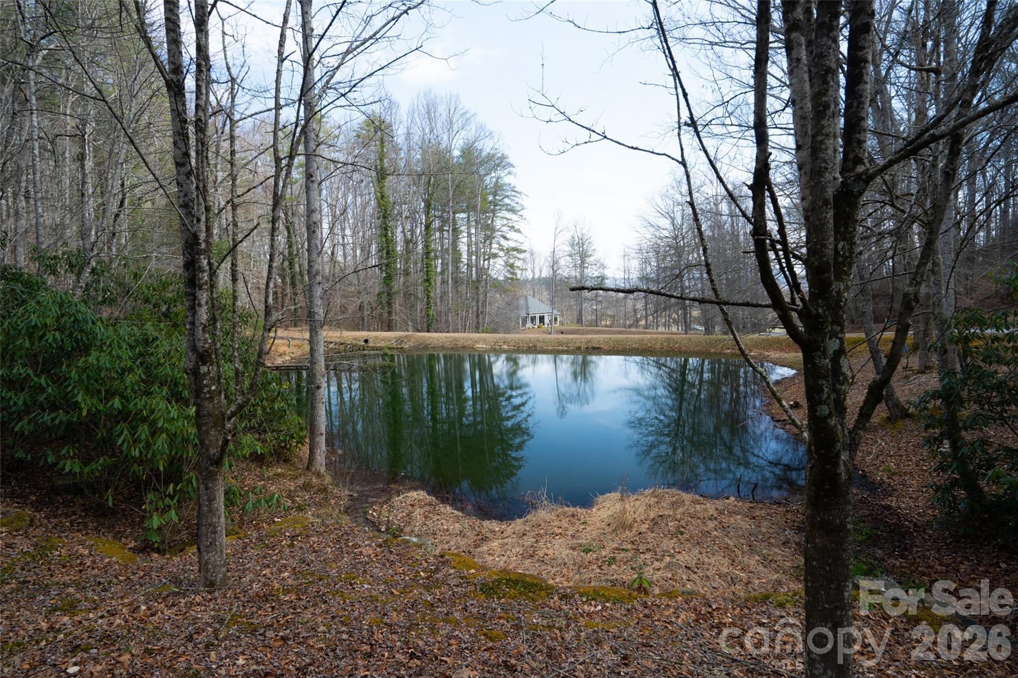 29 Open Ridge Trail Pisgah Forest, NC 28768 - Photo 16 of 16 a view of a lake from a yard