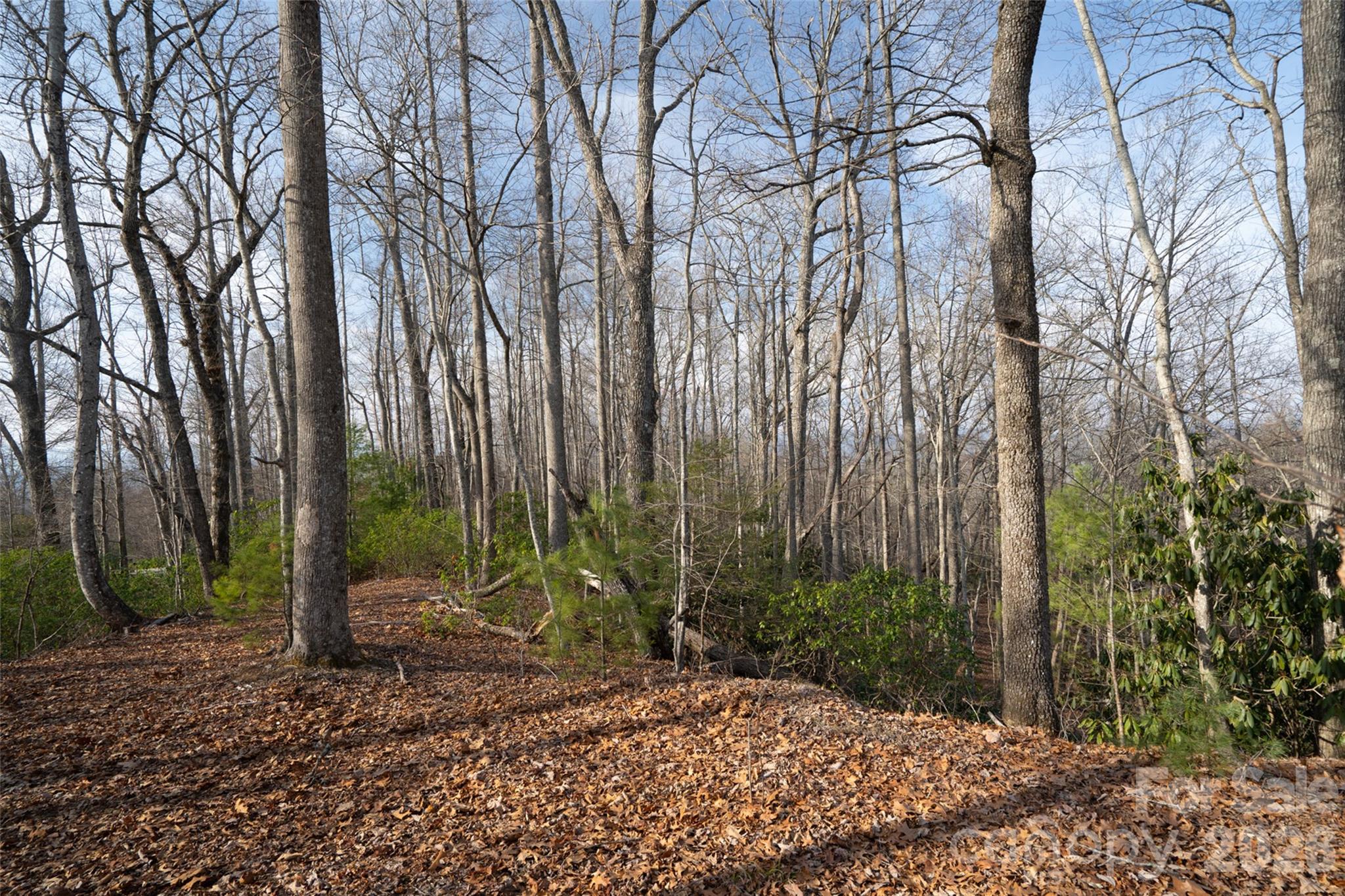 29 Open Ridge Trail Pisgah Forest, NC 28768 - Photo 2 of 16 a view of outdoor space and yard