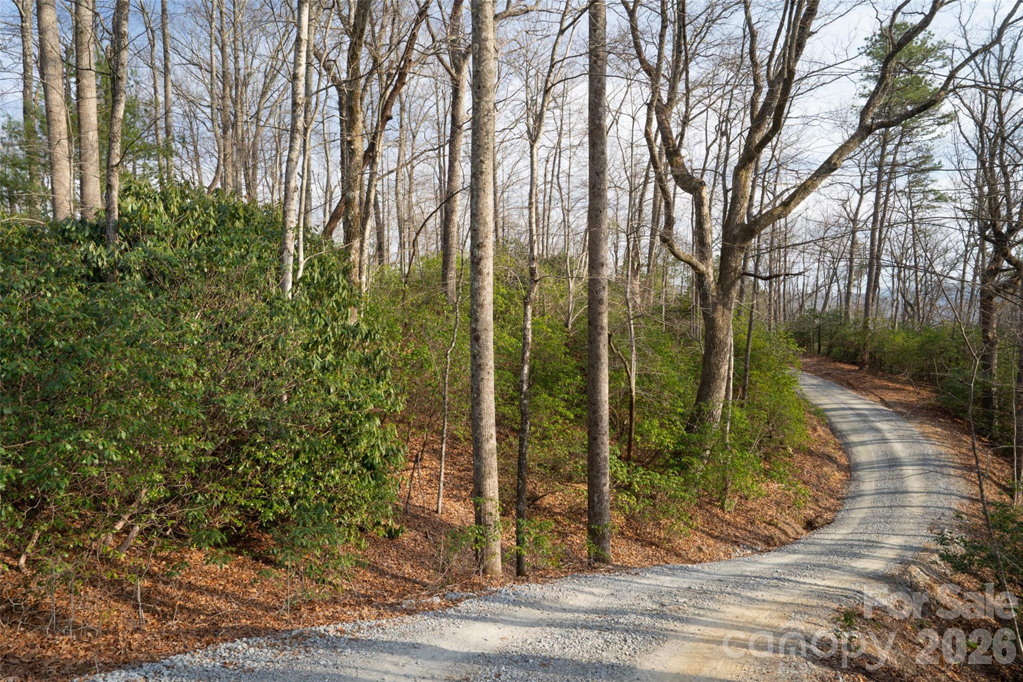 29 Open Ridge Trail Pisgah Forest, NC 28768 - Photo 6 of 16 a view of a garden