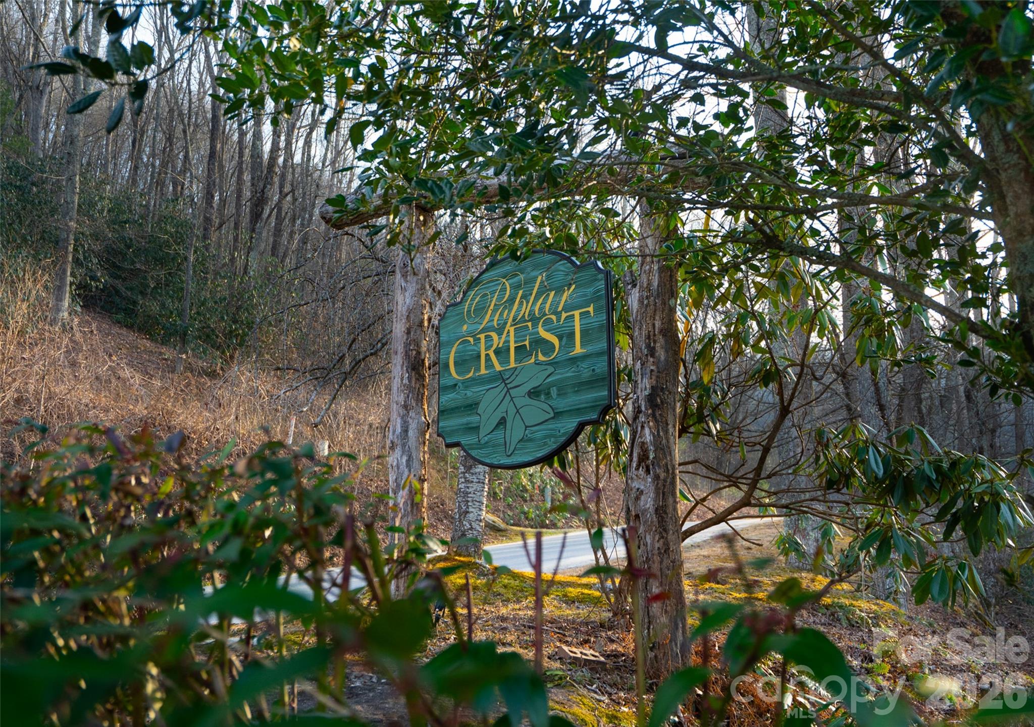 29 Open Ridge Trail Pisgah Forest, NC 28768 - Photo 8 of 16 a view of a park