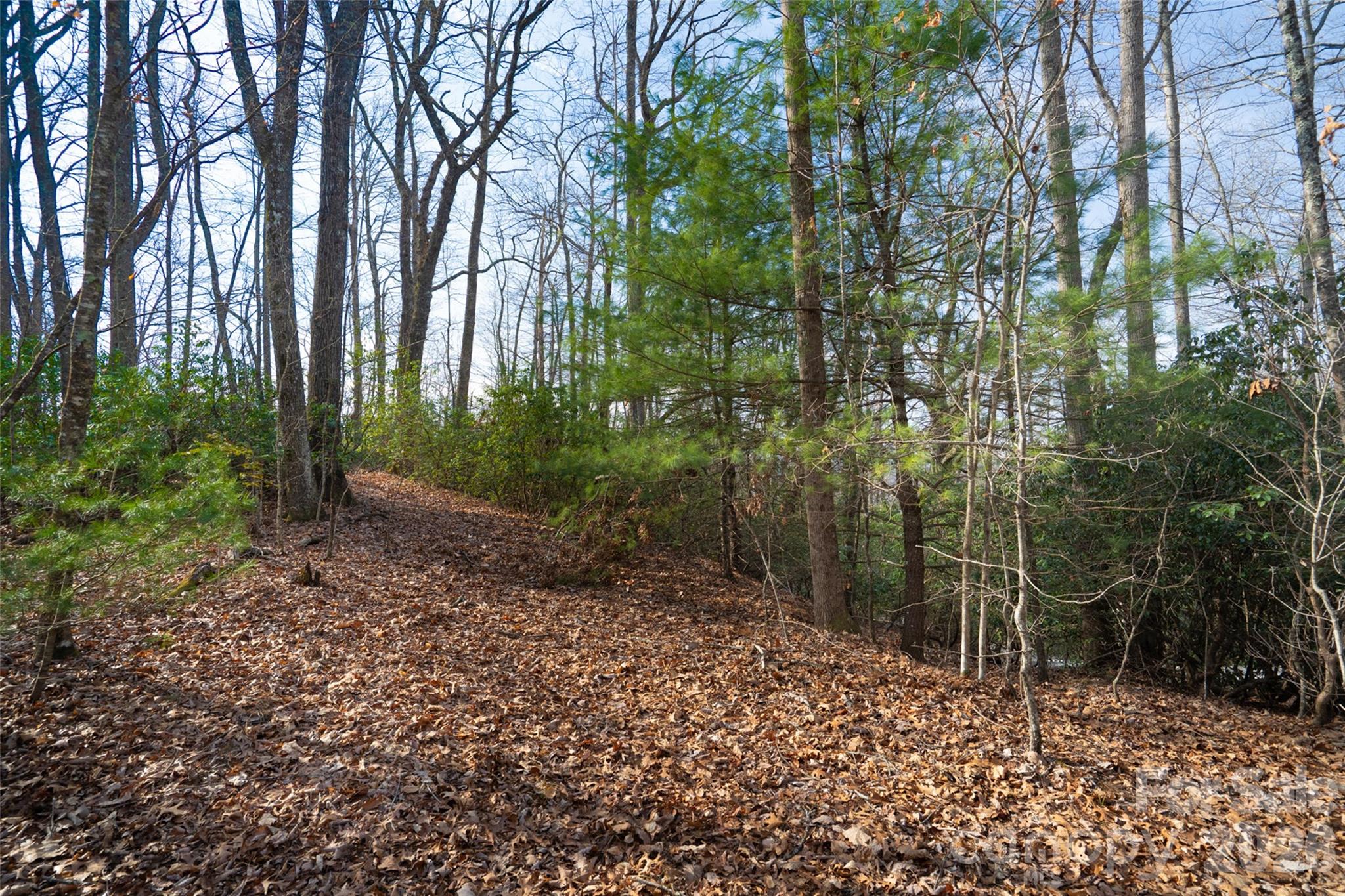 29 Open Ridge Trail Pisgah Forest, NC 28768 - Photo 9 of 16 a view of a forest with trees