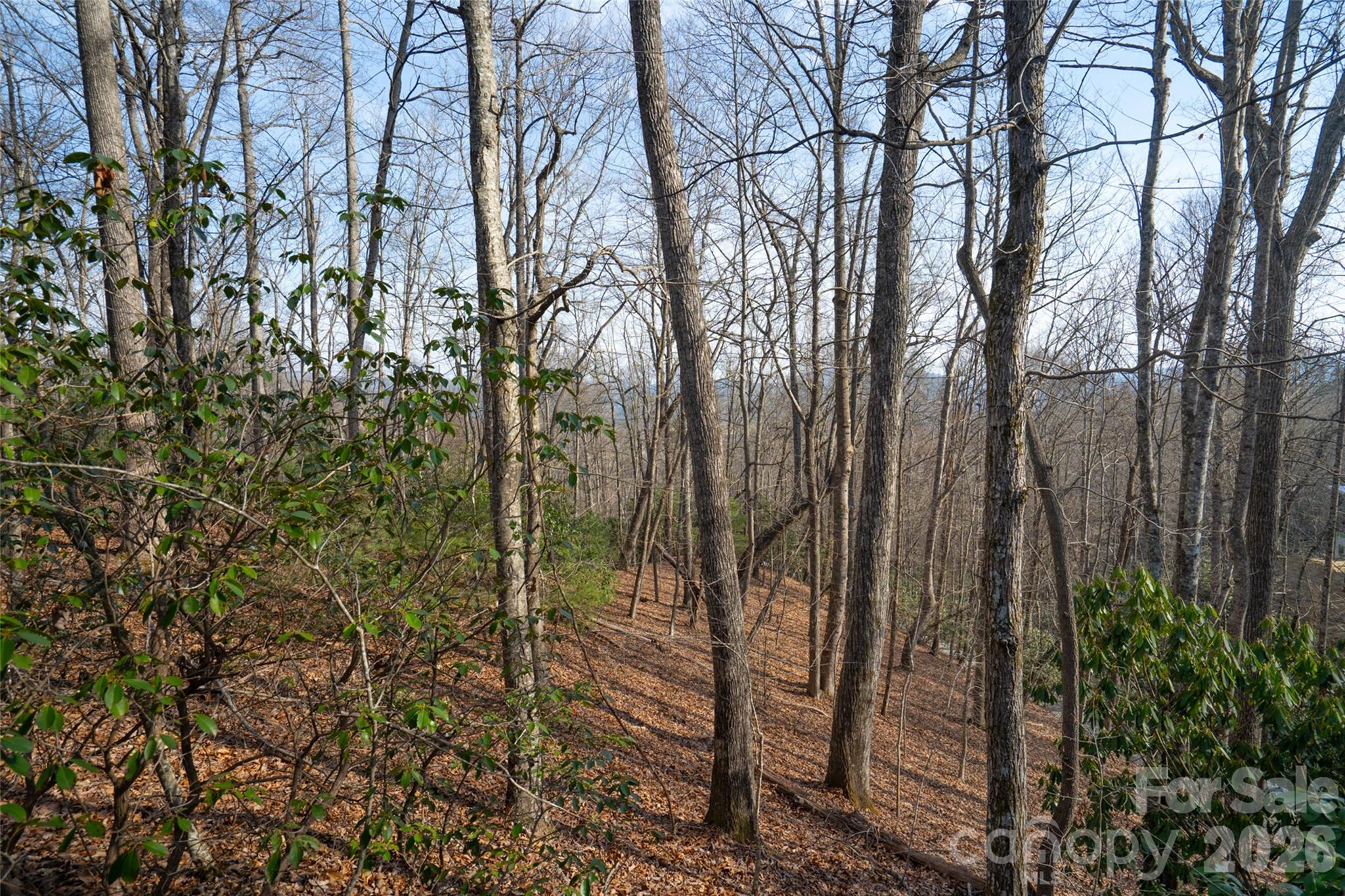 29 Open Ridge Trail Pisgah Forest, NC 28768 - Photo 10 of 16 a view of a forest
