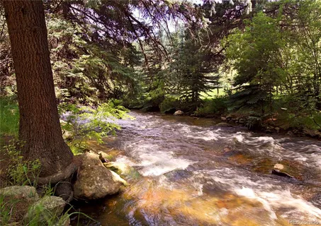 a view of a yard with plants and large trees