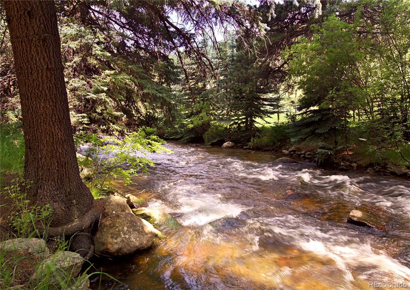 222 Greystone Road Evergreen, CO 80439 - Photo 10 of 31 a view of a yard with plants and large trees