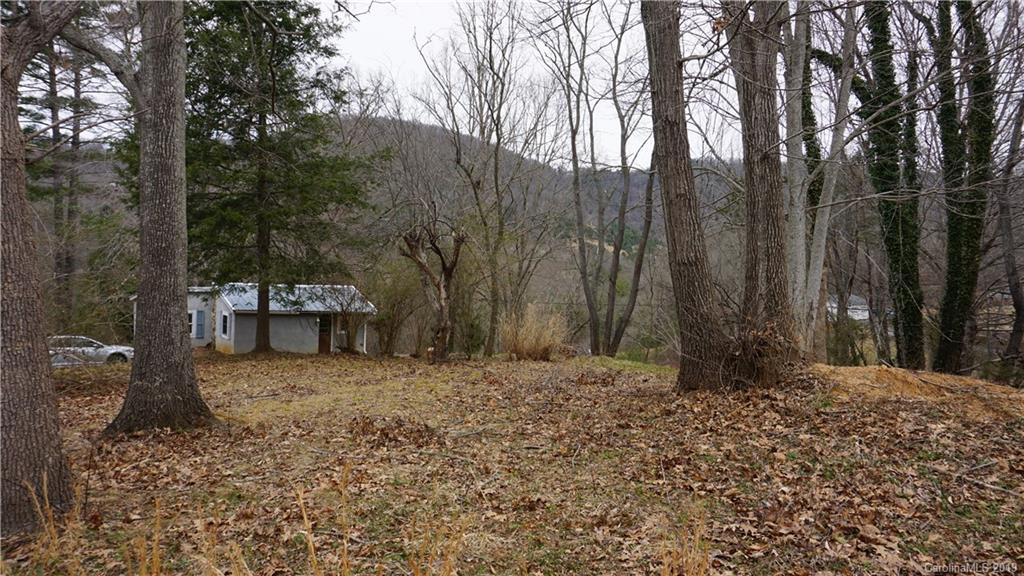 52 Pine Ridge Road Asheville, NC 28804 - Photo 6 of 8 Gallery Image 6