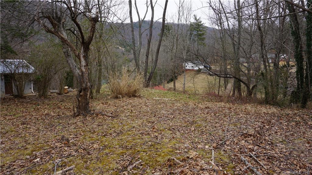 52 Pine Ridge Road Asheville, NC 28804 - Photo 7 of 8 Gallery Image 7