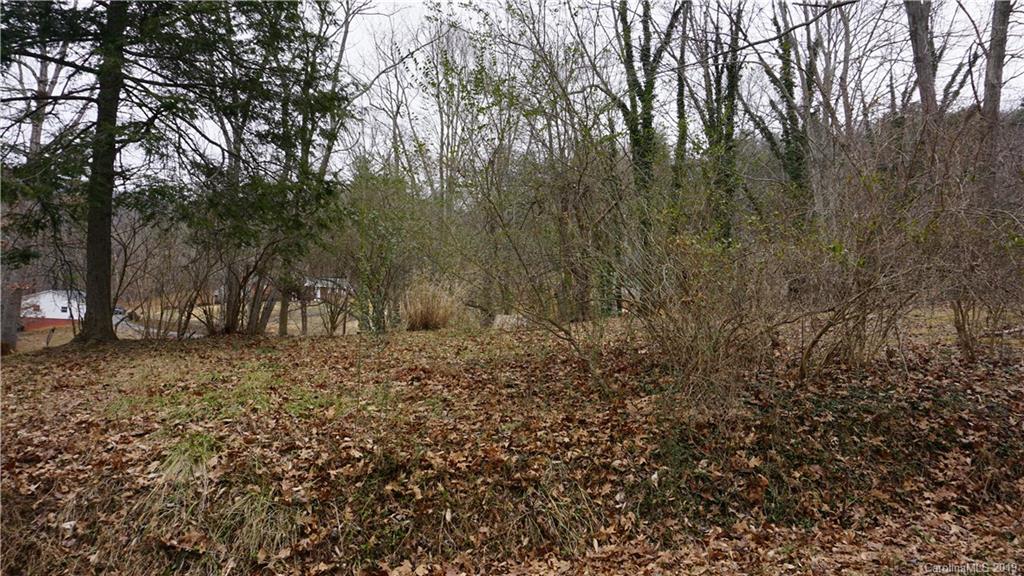 52 Pine Ridge Road Asheville, NC 28804 - Photo 8 of 8 Gallery Image 8