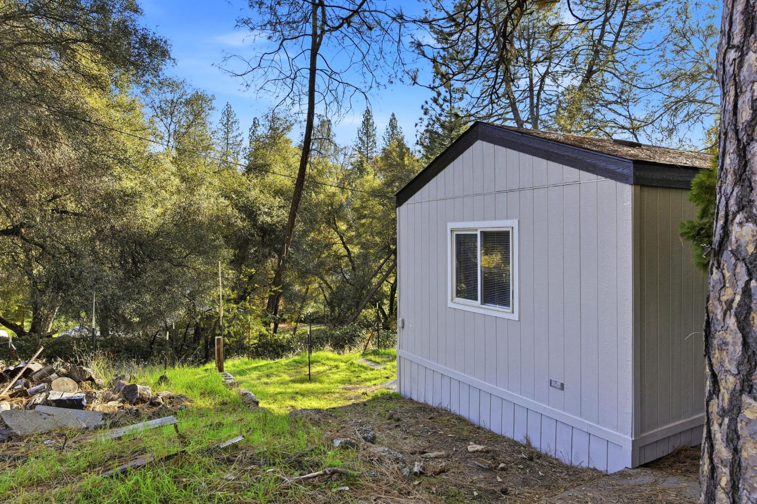 1160 Pleasant Valley Road Diamond Springs, CA 95619 - Photo 42 of 42 a view of back yard of the house