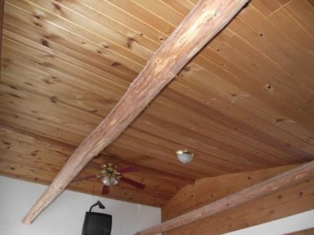 5875 Guenthardt Road Manistee, MI 49660 - Photo 17 of 28 p