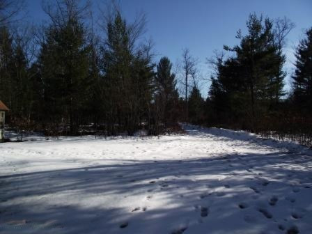 5875 Guenthardt Road Manistee, MI 49660 - Photo 24 of 28 v