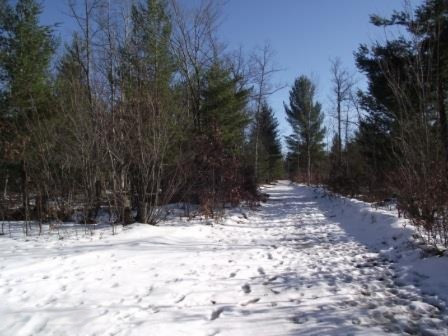 5875 Guenthardt Road Manistee, MI 49660 - Photo 25 of 28 w