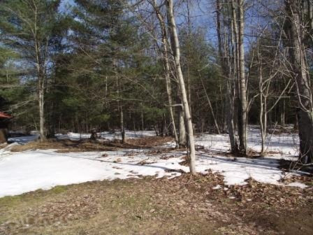 5875 Guenthardt Road Manistee, MI 49660 - Photo 27 of 28 y