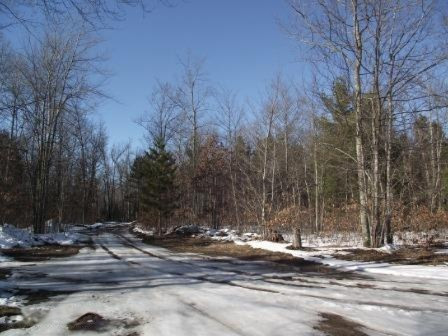 5875 Guenthardt Road Manistee, MI 49660 - Photo 28 of 28 z