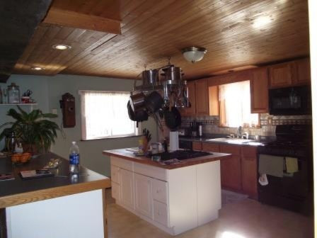 5875 Guenthardt Road Manistee, MI 49660 - Photo 5 of 28 e