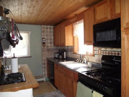 5875 Guenthardt Road Manistee, MI 49660 - Photo 6 of 28 e1