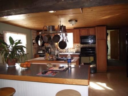 5875 Guenthardt Road Manistee, MI 49660 - Photo 8 of 28 g