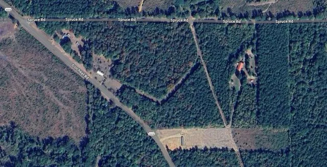 a bathroom with a shower and a wooden floor
