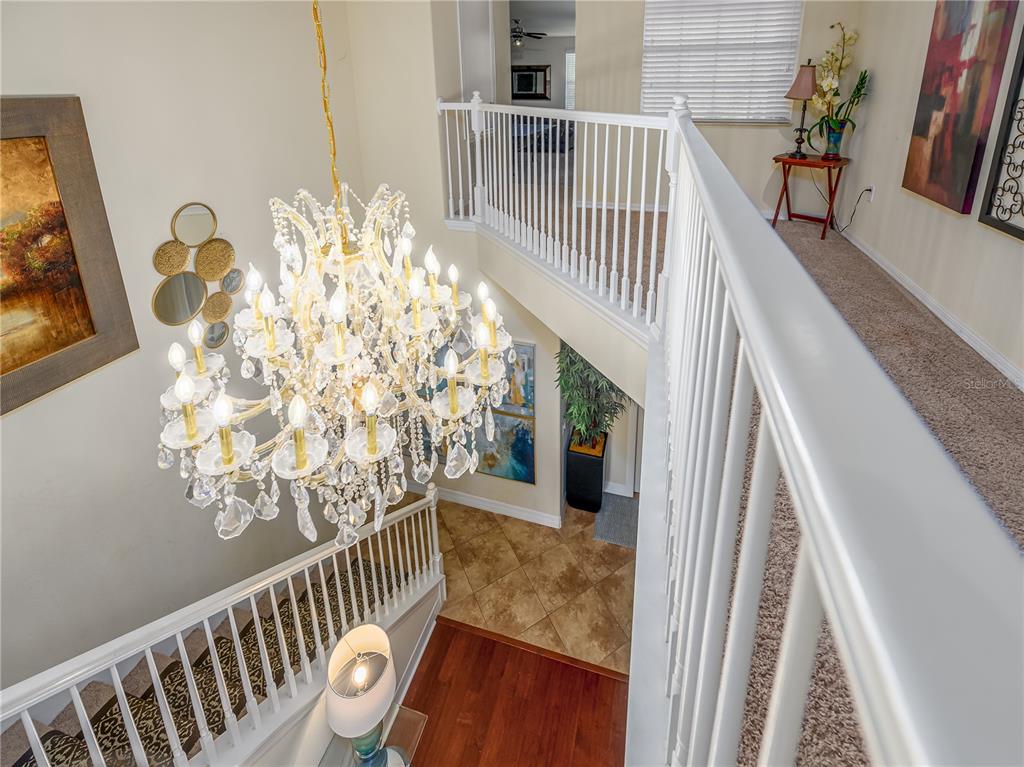 20213 Regal Fern Court Tampa, FL 33647 - Photo 18 of 65