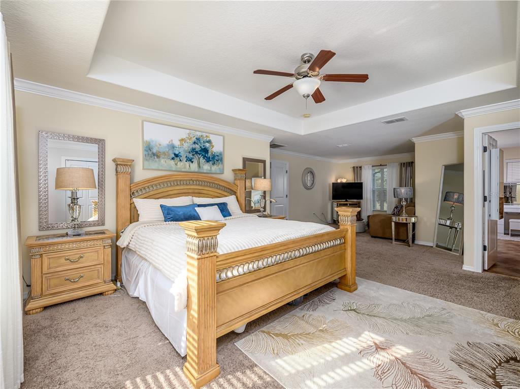 20213 Regal Fern Court Tampa, FL 33647 - Photo 21 of 65 a spacious bedroom with a bed and closet