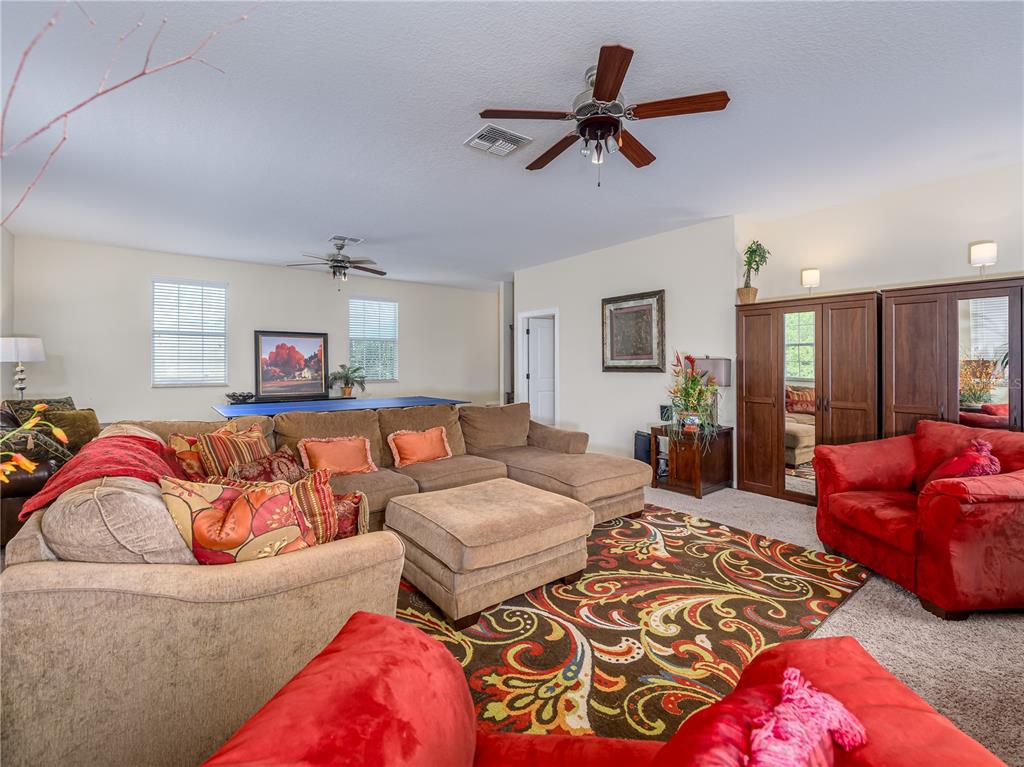 20213 Regal Fern Court Tampa, FL 33647 - Photo 40 of 65 a living room with furniture ceiling fan and a rug