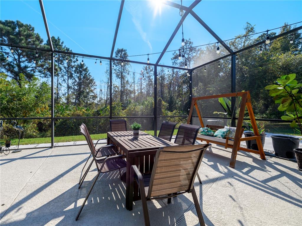 20213 Regal Fern Court Tampa, FL 33647 - Photo 42 of 65 a view of a patio with a table and chairs