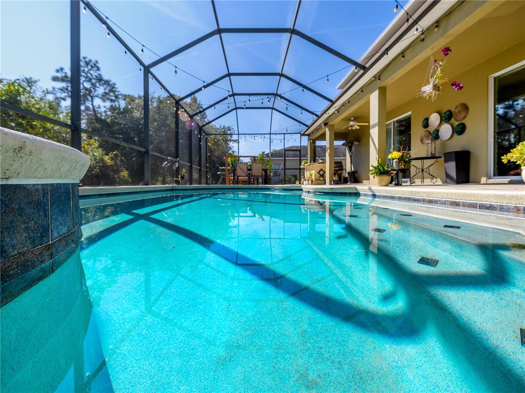 20213 Regal Fern Court Tampa, FL 33647 - Photo 45 of 65 a view of a swimming pool with a patio